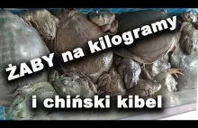 Żaby na kilogramy, fryzjer za 9 zł i kibel na chińskim bazarku