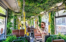 Antwerpia: zielony tramwaj « Kolej na kolej