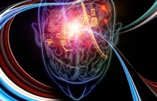 Naukowcy znaleźli w mózgu obwody kreatywności