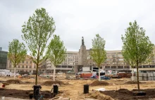Plac Wolności w Łodzi będzie zieloną oazą w centrum miasta - Łódź - investmap.p