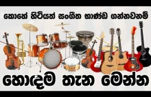 Music Instrument Shop | Guththila Music Center Kiribathgoda | Trendy Hub