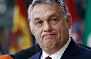 Orban ma problem z cenami. Pieczywo i jaja zdrożały o 80 proc.