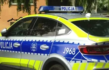 Wypadek na Trasie Łazienkowskiej. Będzie ekstradycja ancymonka