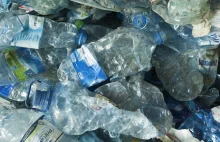 Polacy powinni zmienić ten nawyk. Chodzi o plastikowe butelki