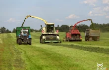 Rekordowa susza na Białorusi. Minister rolnictwa martwi się o zbiory