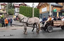 Zejście łowiec z hal. Tam to jest święto!