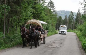 Zakończyły się testy elektrycznego busa na trasie do Morskiego Oka