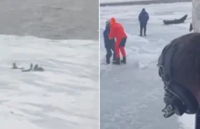 Rosja: 50 rybaków łowiących z przerębla uwięzionych na krze