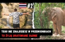 CHIANG MAI i okoliczne atrakcje - wodospad Bua Tong i słonie w Tajlandii