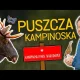 Puszcza Kampinoska - ciekawostki przyrodnicze, wykupy gruntów i rola Parku