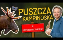 Puszcza Kampinoska - ciekawostki przyrodnicze, wykupy gruntów i rola Parku