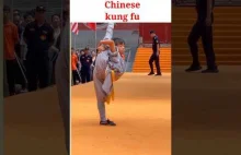 Kung fu - ile lat potrzeba do ideału...