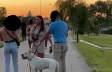 Pies Polki dotkliwie pogryzł krocze Hiszpana.