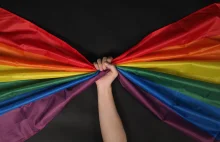 Projekt ustawy o związkach partnerskich krok ku równości?