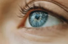 Czy kolor oczu wpływa na to, co widzimy?