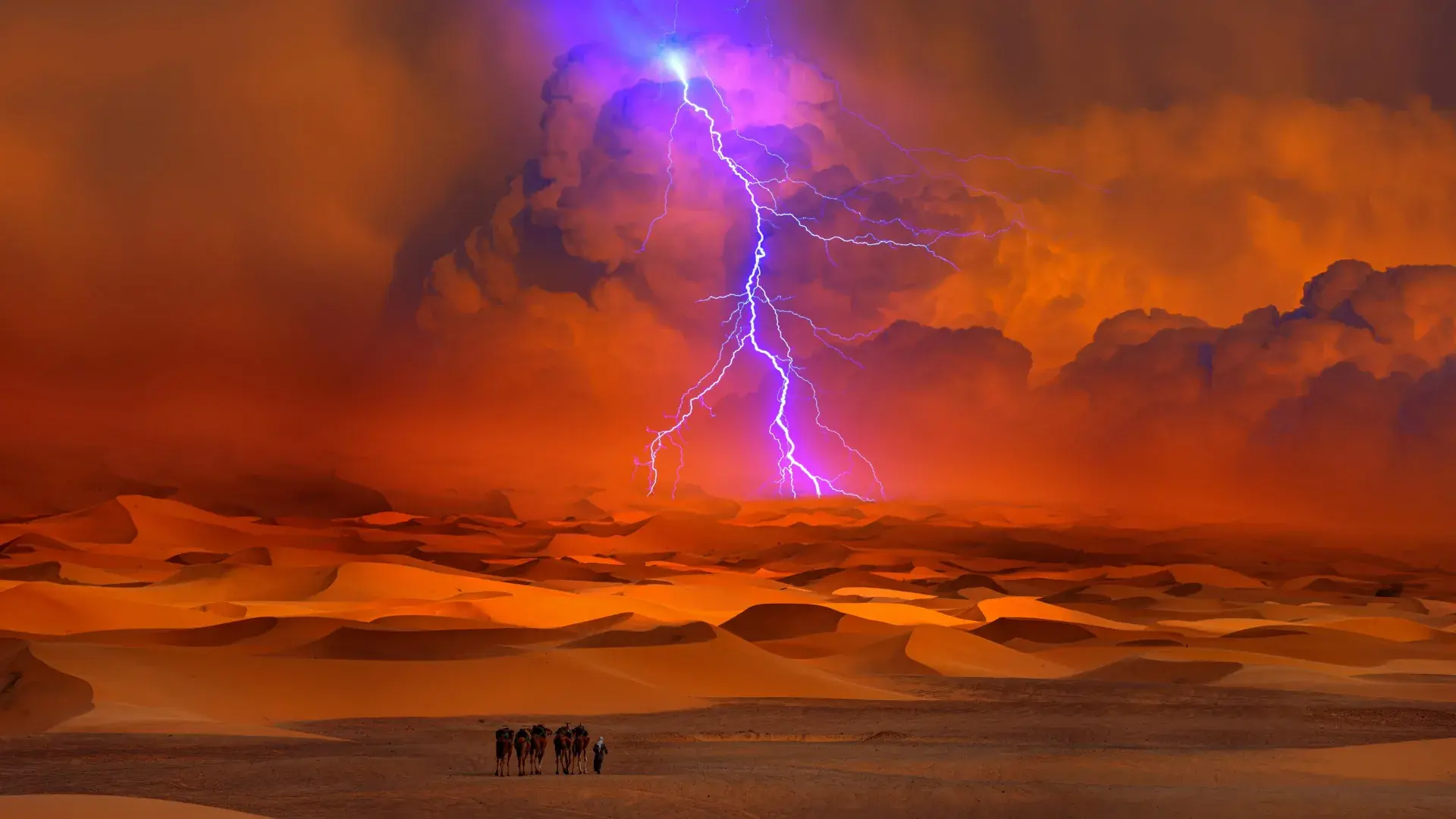 Sahara może się zazielenić? Naukowcy przewidują nawet 75 % więcej opadów