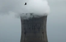 Nieoficjalnie: "Zamrożono prace przy budowie elektrowni jądrowej w Pątnowie