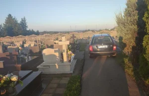 Chciał ukryć się przed policją na cmentarzu. Dlatego jeździł autem po alejkach.