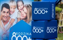 Polacy chcą ograniczeń w 800 plus. Chodzi nie tylko o Ukraińców.