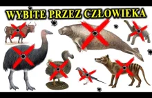 Dodo, Tur, Syrena, Wilkowór, Moa - Najciekawsze Gatunki Wybite Przez Człowieka