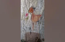 Sztuka w jaskini | The art in a cave | 4K | Poland | #shorts #cave #jaskinia #na