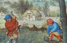 Zarobki średniowiecznych chłopów. Na co mógł liczyć mieszkaniec wsi 500 lat temu