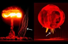 Smartgasm - Różne efekty i zjawiska związane z wybuchami jądrowymi