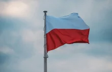 Polskie firmy liderem wdrażania AI w regionie