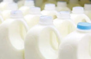 Benzyna z mleka: innowacyjne paliwo do samochodów zostało opracowane w USA