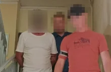 Trzy lata więzienia dla właściciela psów które zagryzły mężczyznę w Lubartowie