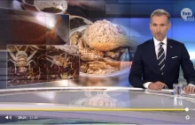 Fakty TVN promują nowe pożywienie, owady zamiast mięsa