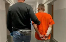 Odkręcił gaz, zabił 2 psy. Grozi mu 8 lat więzienia