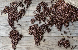Ceny kawy mogą wzrosnąć wskutek suszy w Brazylii