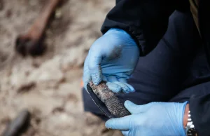 Ludzkie szkielety odkryte na Westerplatte. To prawdopodobnie rozstrzelani Polacy