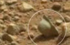 Znaleźli niemiecki hełm na Marsie