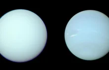 Prawdziwe kolory planet Uran i Neptun są inne niż sądziliśmy.