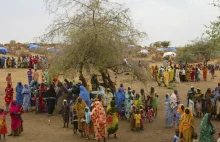 ŚPŻ ostrzega że wojna w Sudanie może wywołać kryzys żywnościowy w regionie
