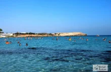 Najciekawsze plaże w okolicy Ayia Napa (Cypr)