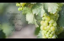 Psalm 80: The Vineyard of the Lord is the House of Israel
