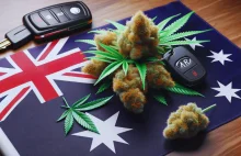 W Australii odbędzie się badanie: marihuana a zdolność prowadzenia pojazdów
