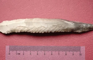 Neolityczne narzędzie odnalezione w dolinie rzeki Wieprz