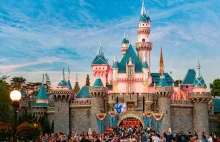 Dożywotni zakaz dla osób oszukujących w kolejkach do Disneylandu