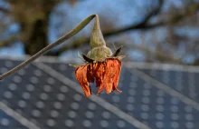 Europejskie banki wyjdą z sojuszu klimatycznego?