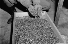 Obrączki znalezione w niemieckim obozie. Każda z nich to jedno ludzkie życie.