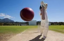 How To Play Cricket For Beginners?