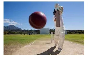 How To Play Cricket For Beginners?