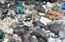 Śmieci zza Odry w Polsce. Niemcy zrzucają winę na polskie firmy