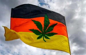 Niemiecka legalizacja marihuany zwalnia tempo, ale są też dobre wiadomości | WEE