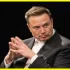 Elon Musk wzywa do rozwiązania NATO