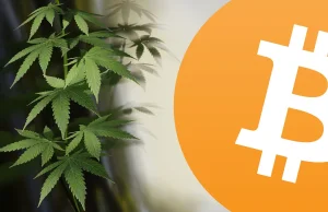 Marihuana łączy się z Bitcoinem | BitHub.pl